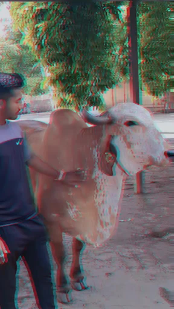 @Mř_નટખટ_ભરવાડ