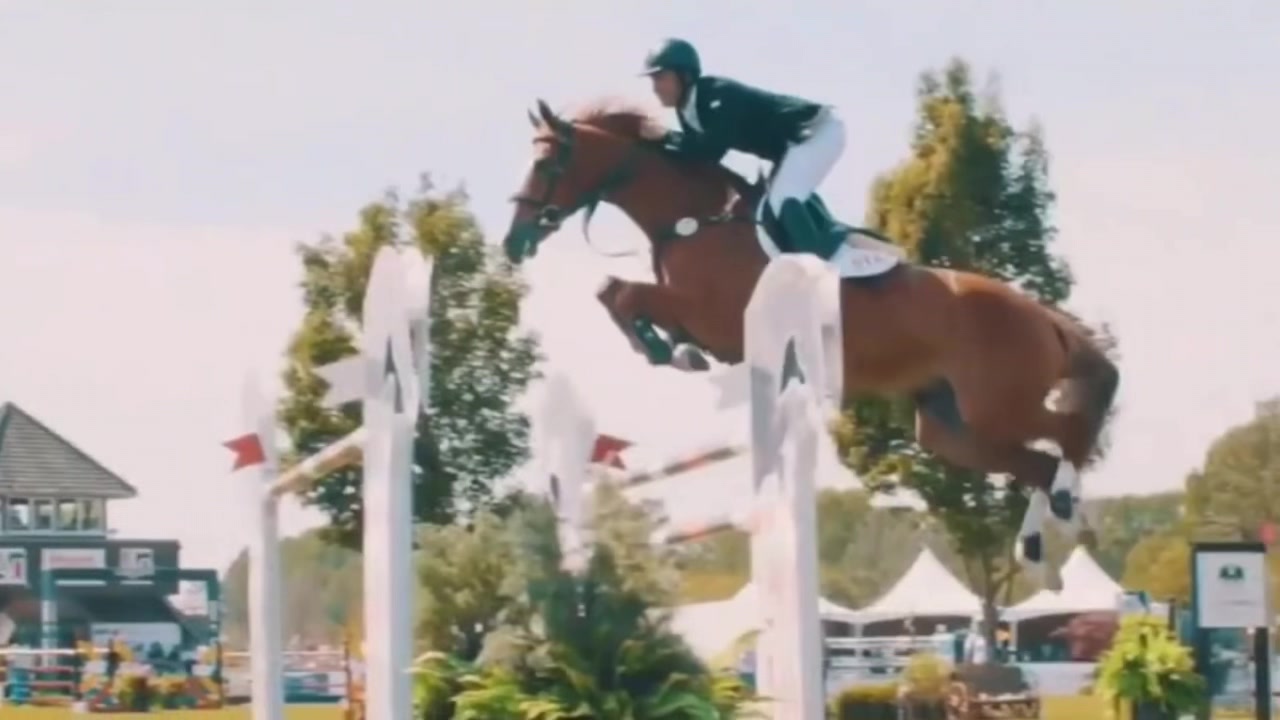 @Horses