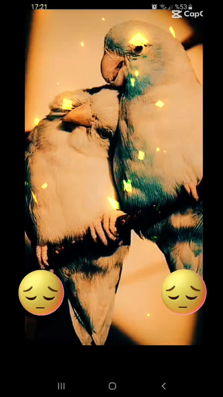@๐ู
ุฏู
ุฑ๐ฆ