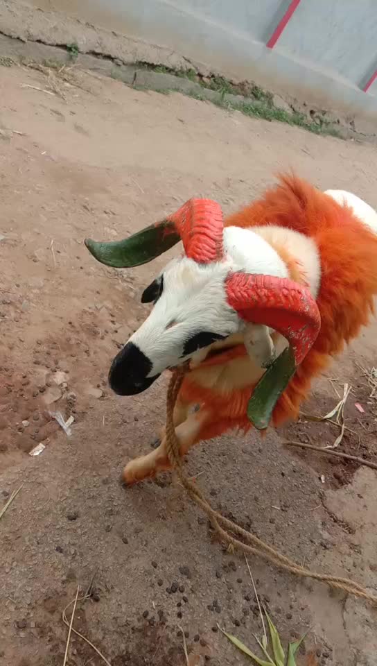 @liyakath