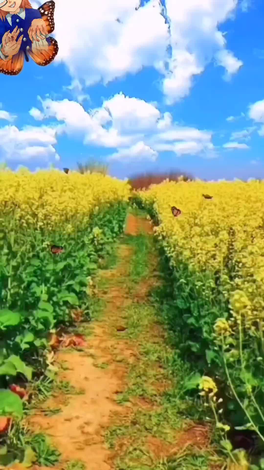 @леончик
