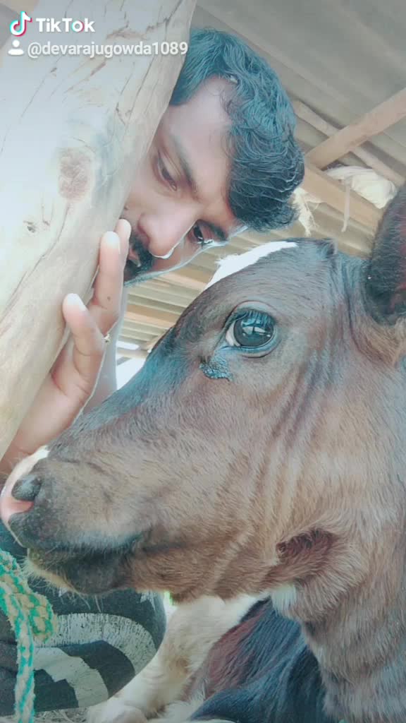 @devaraju