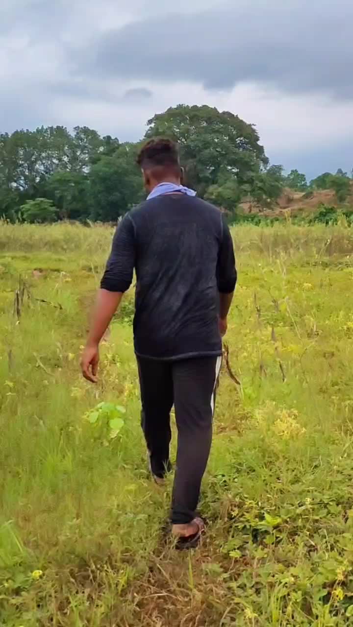 @rayagada Toka 🔥 🔥?