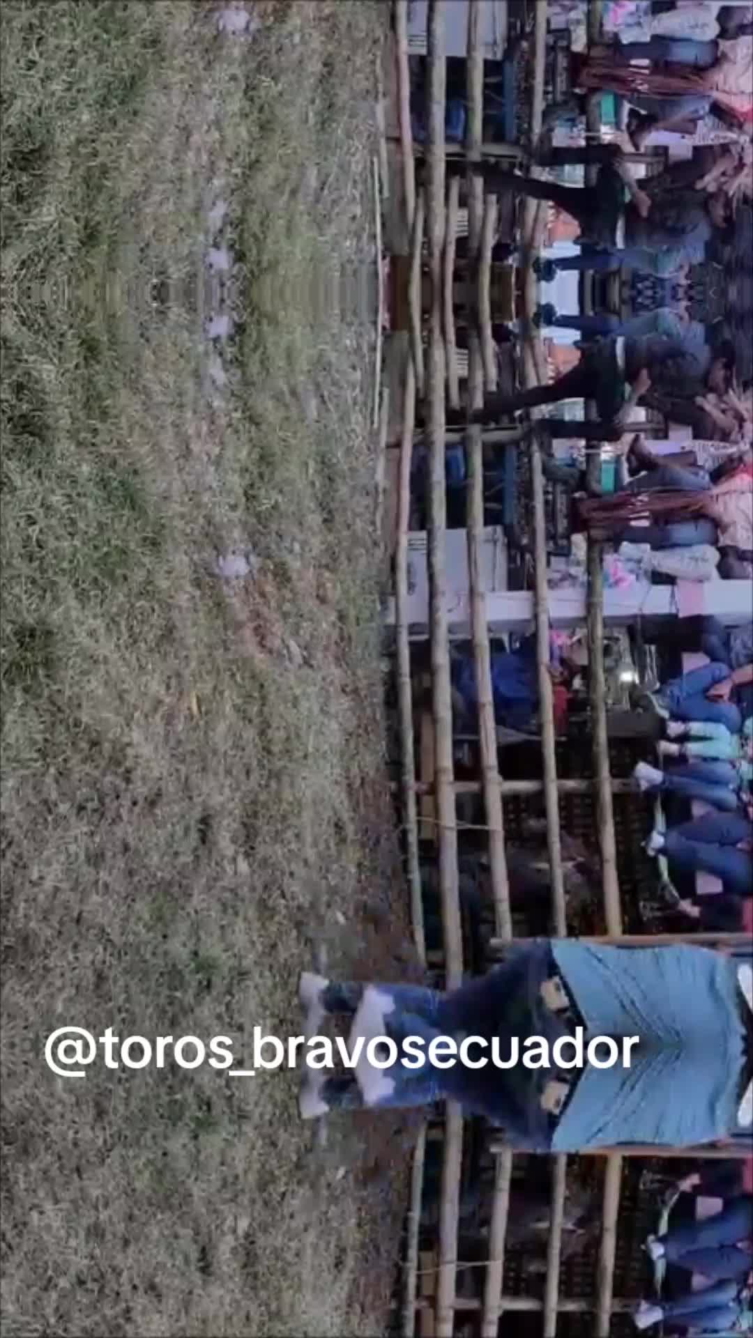 @ganaderia el pedrega