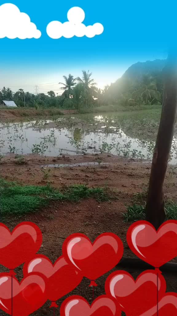 @user9453167713465
