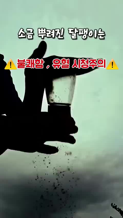 @씨얼