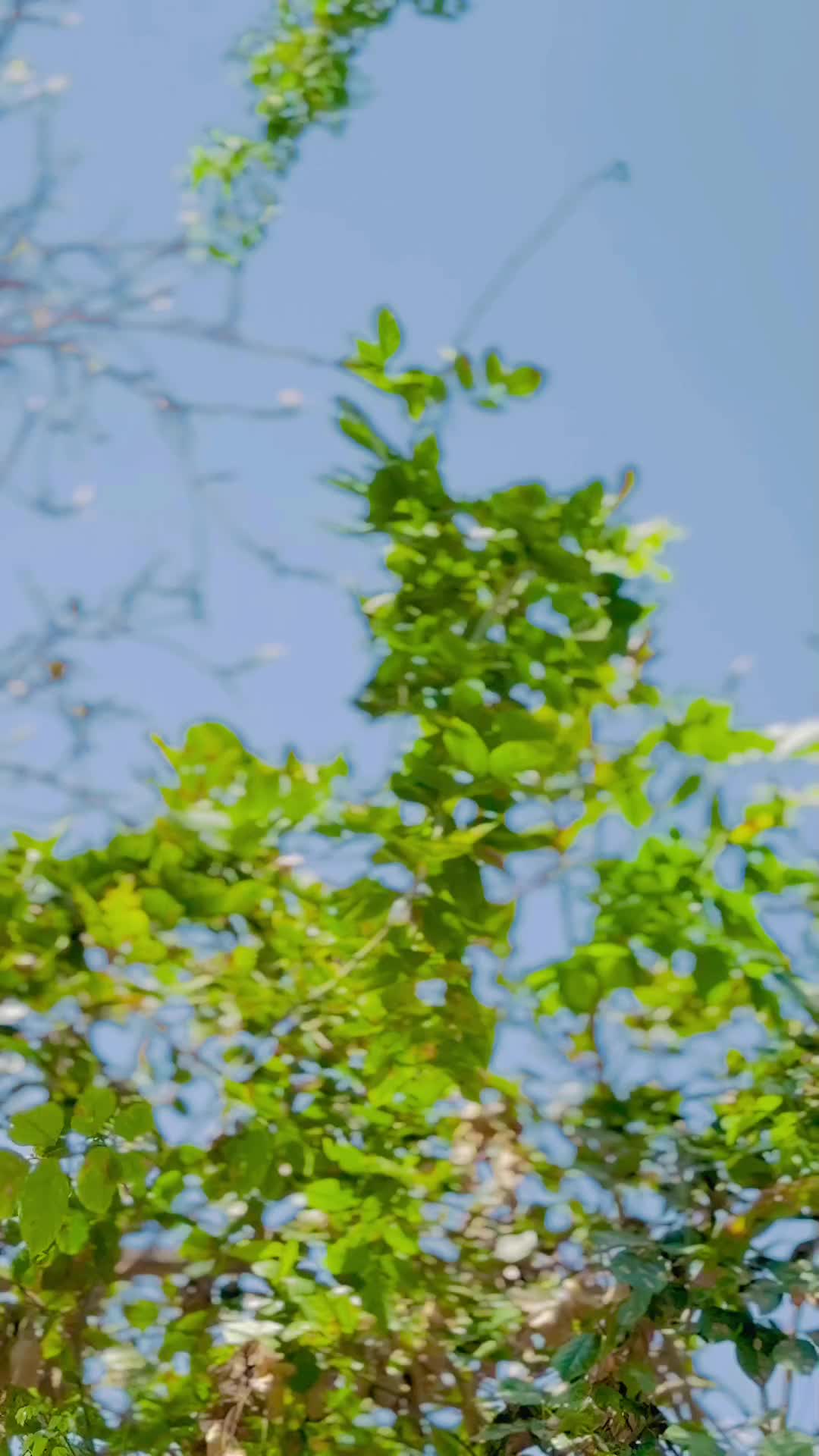 @IR 𓆩 𝙀𝙙𝙞𝙩𝙯 𓆪