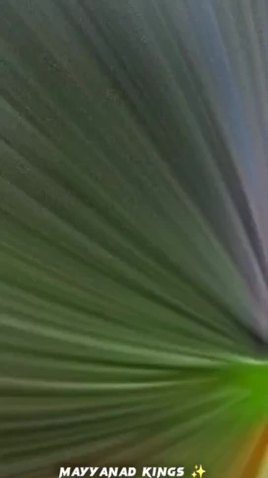 @കൊല്ലംകാരൻ