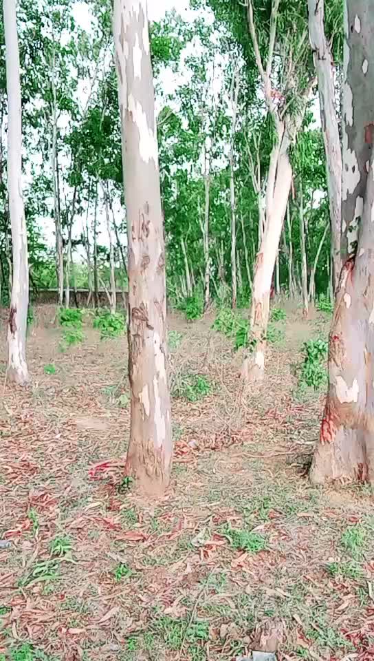 @yogend Kumar