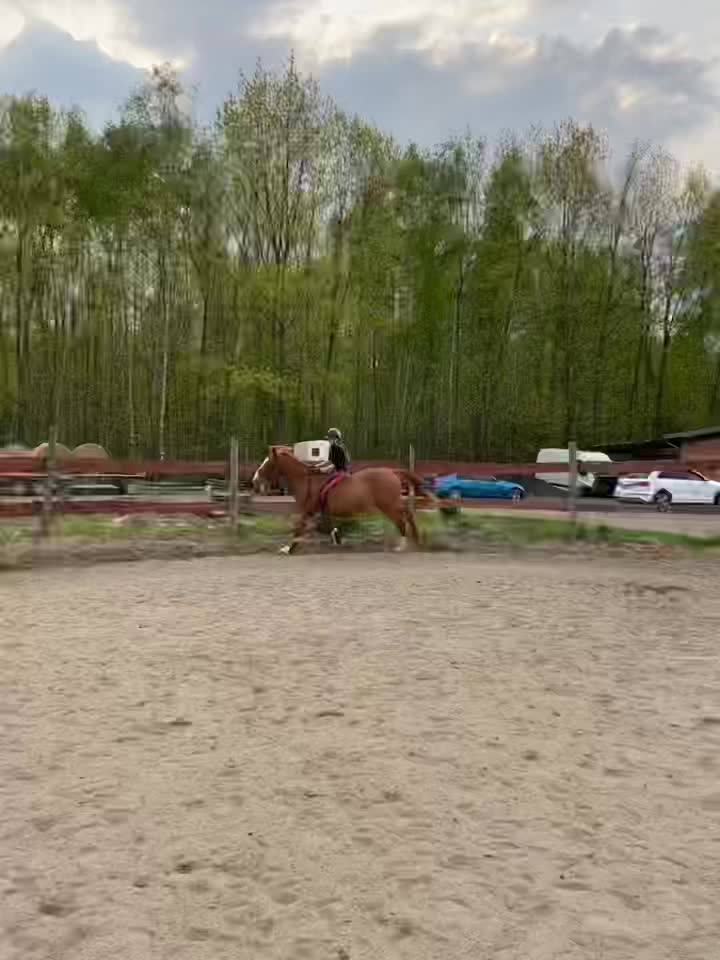 @W🦄