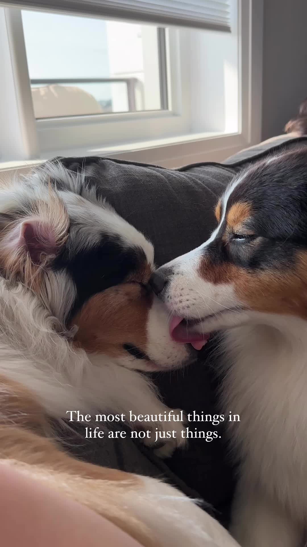 @Aiko & Nara