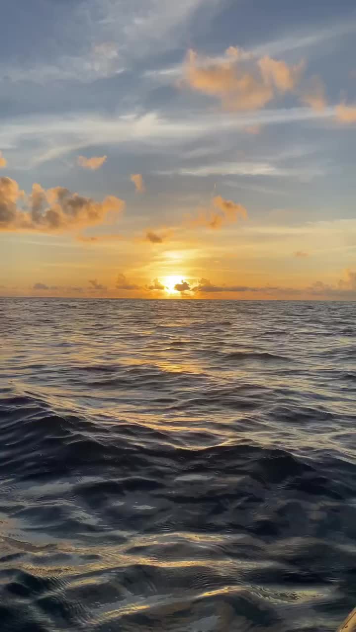 @IG_Okinawa