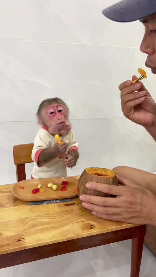 @Lilymonkey