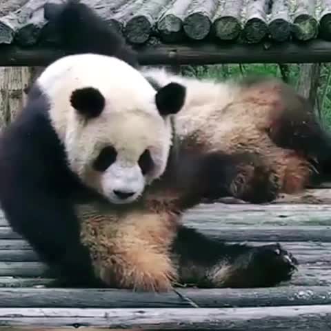 @JAY