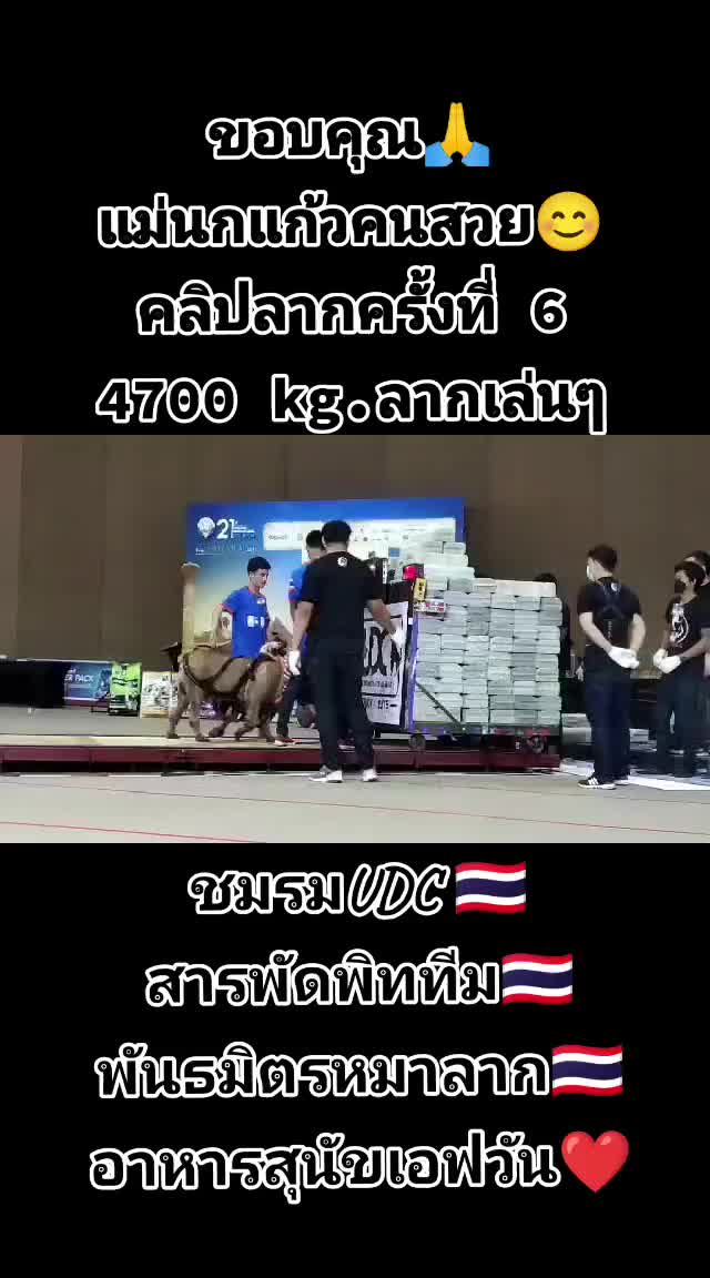 @ศึกษา เกตุนาค