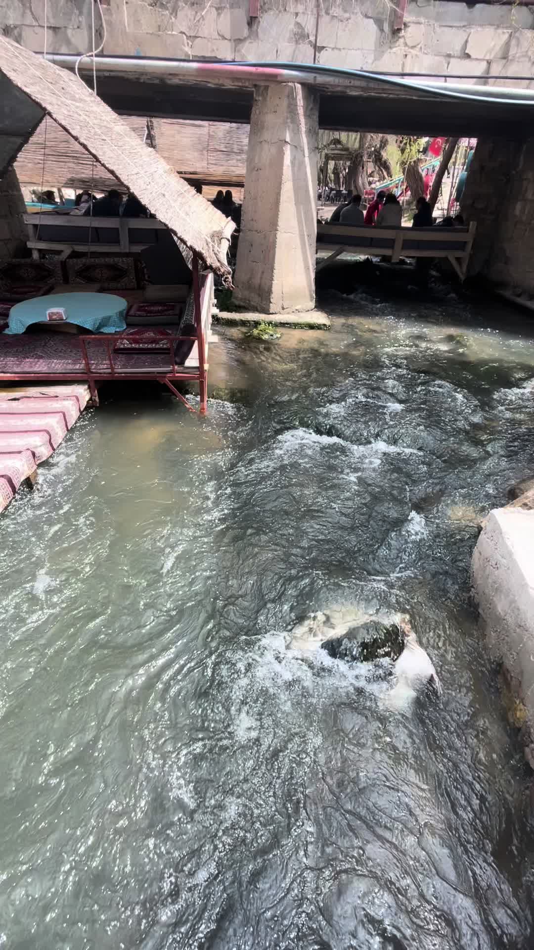 @Abdullah Ulu