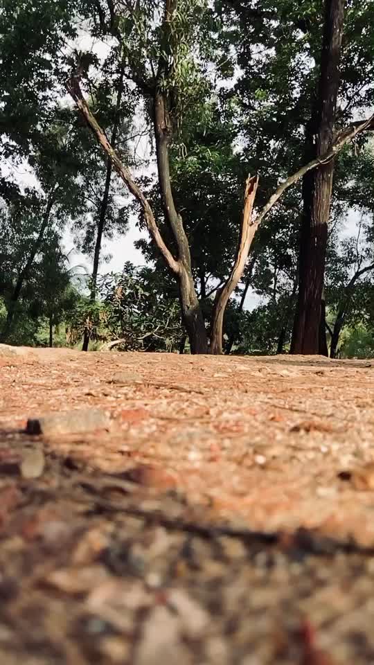 @♡︎ مصباح بن محمّد &hearts;︎