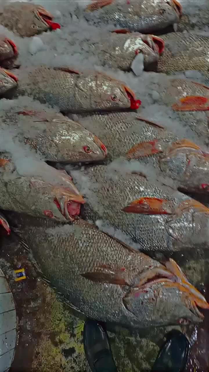 @𝙆𝘼𝙉𝙖𓃵
