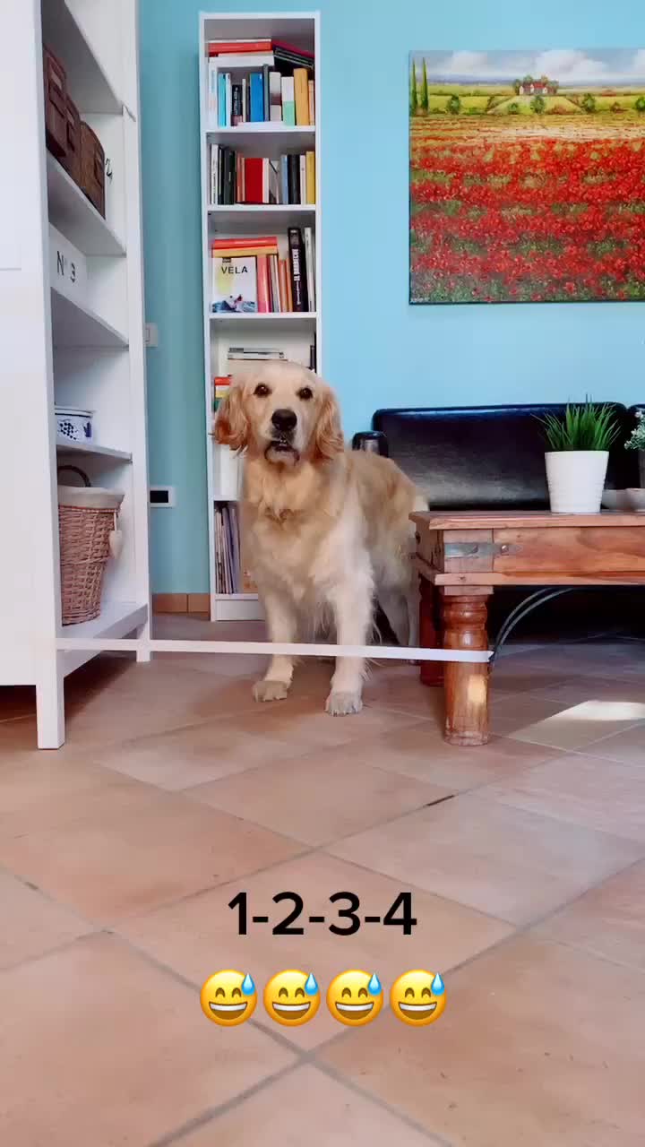 @🐶PENNY🐶