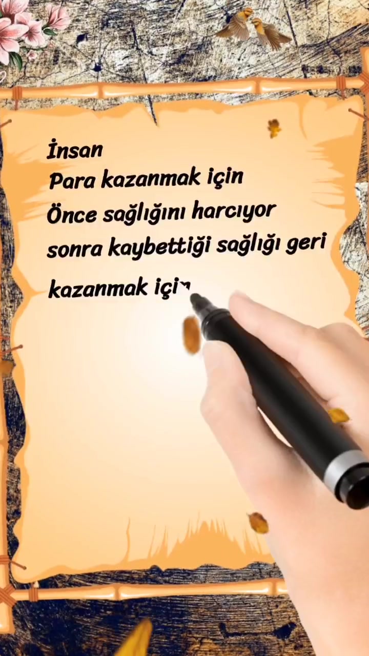 @kelebeğin d&uuml;nyası