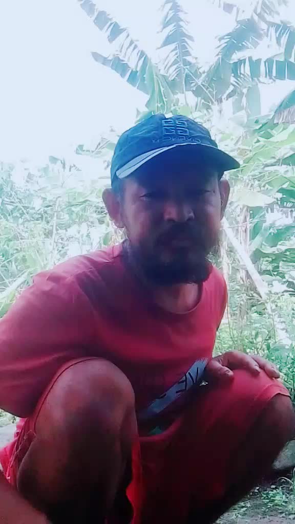 @Birkha tumbahangfe