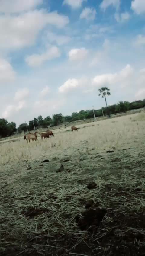 @Mahesh Gundaboina