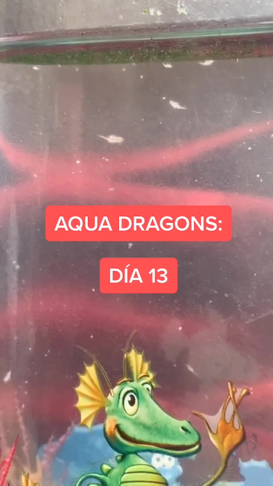 @mini.dragons