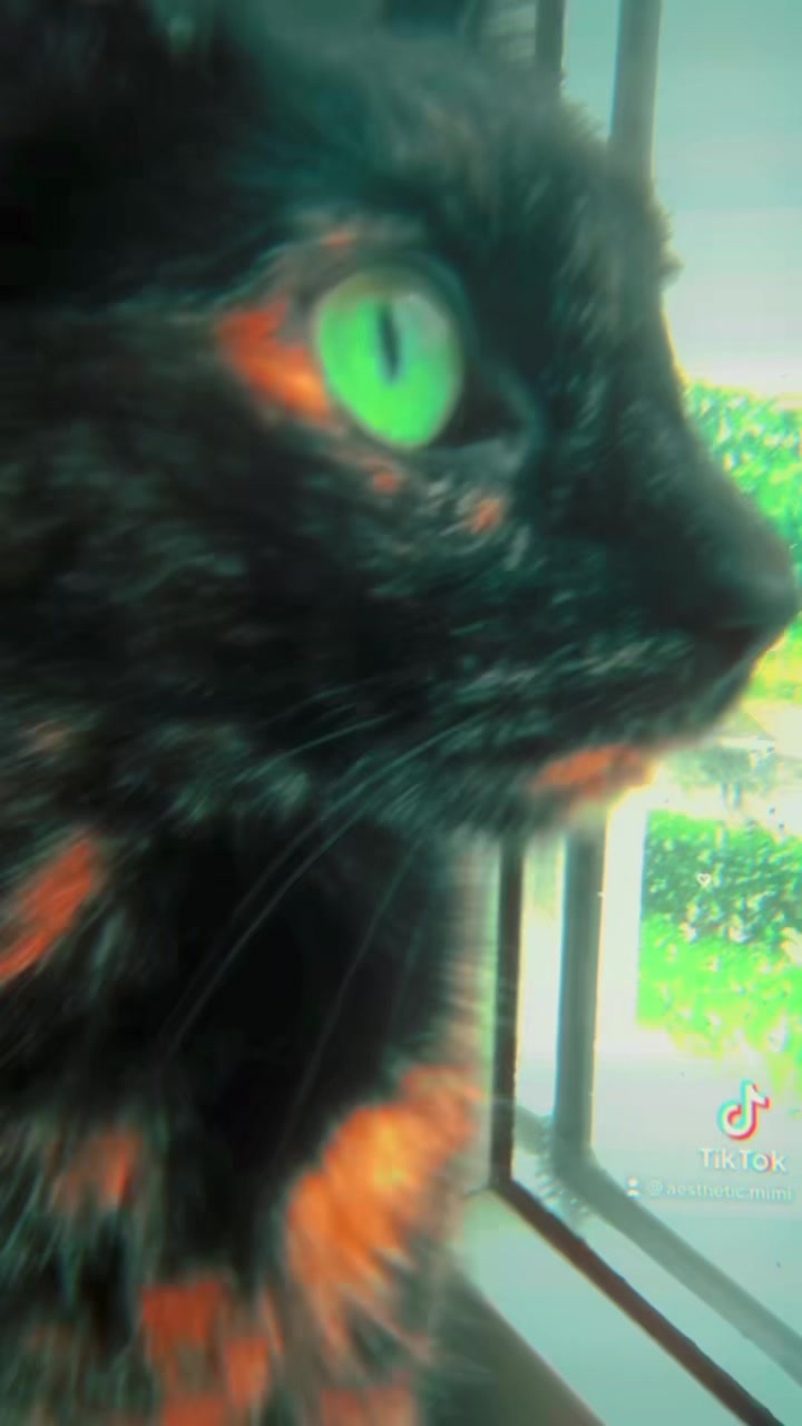 @𝐌𝐢𝐦𝐢<𝟑
