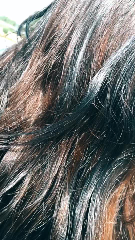 @vanshika bhatnagar