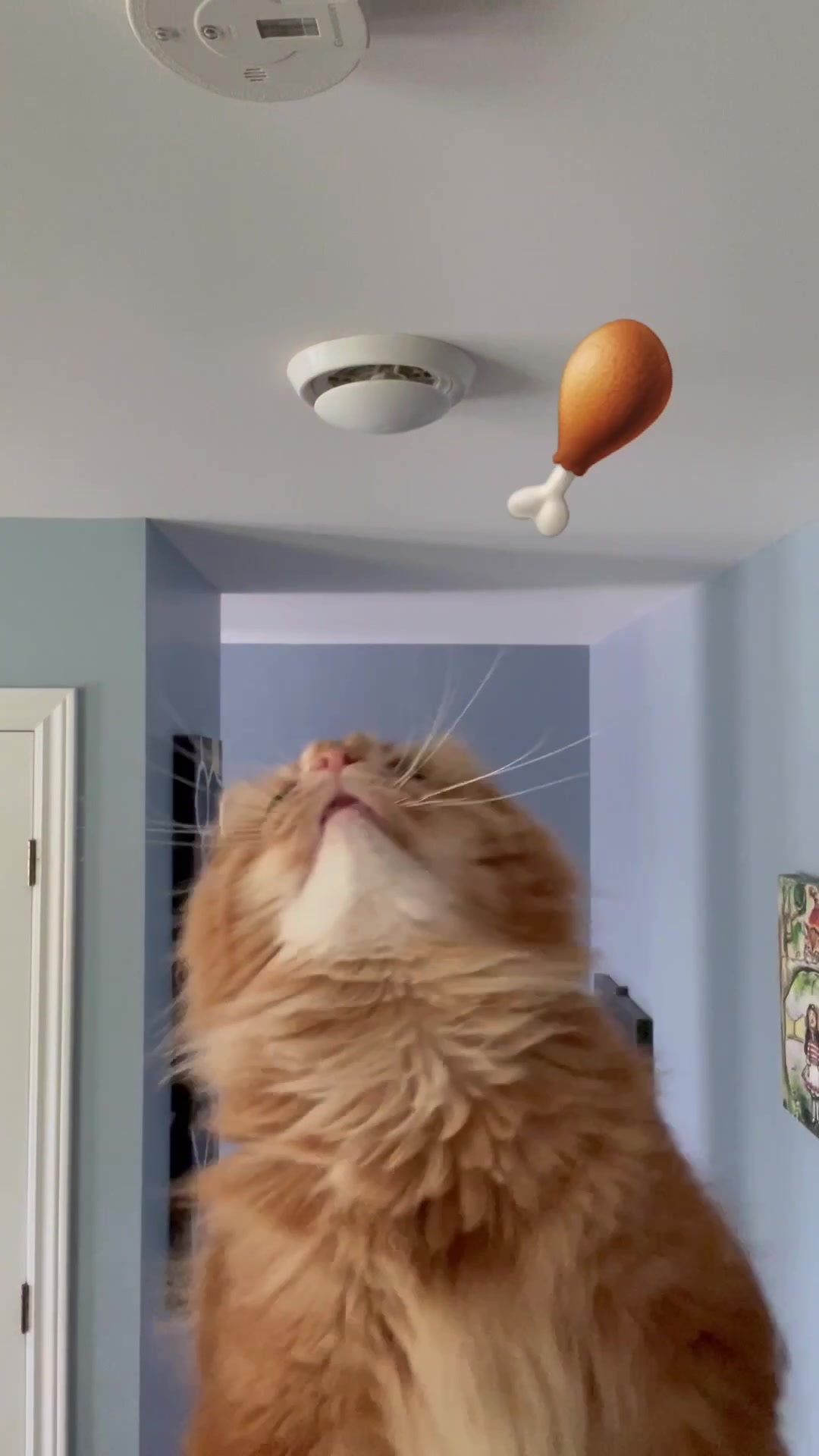 @The Oreo Cat