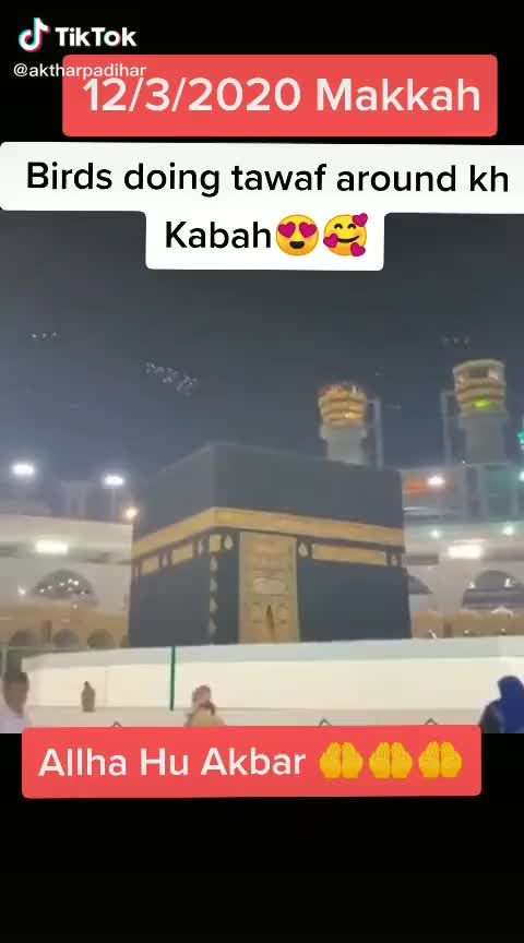 @bindaas girl😎