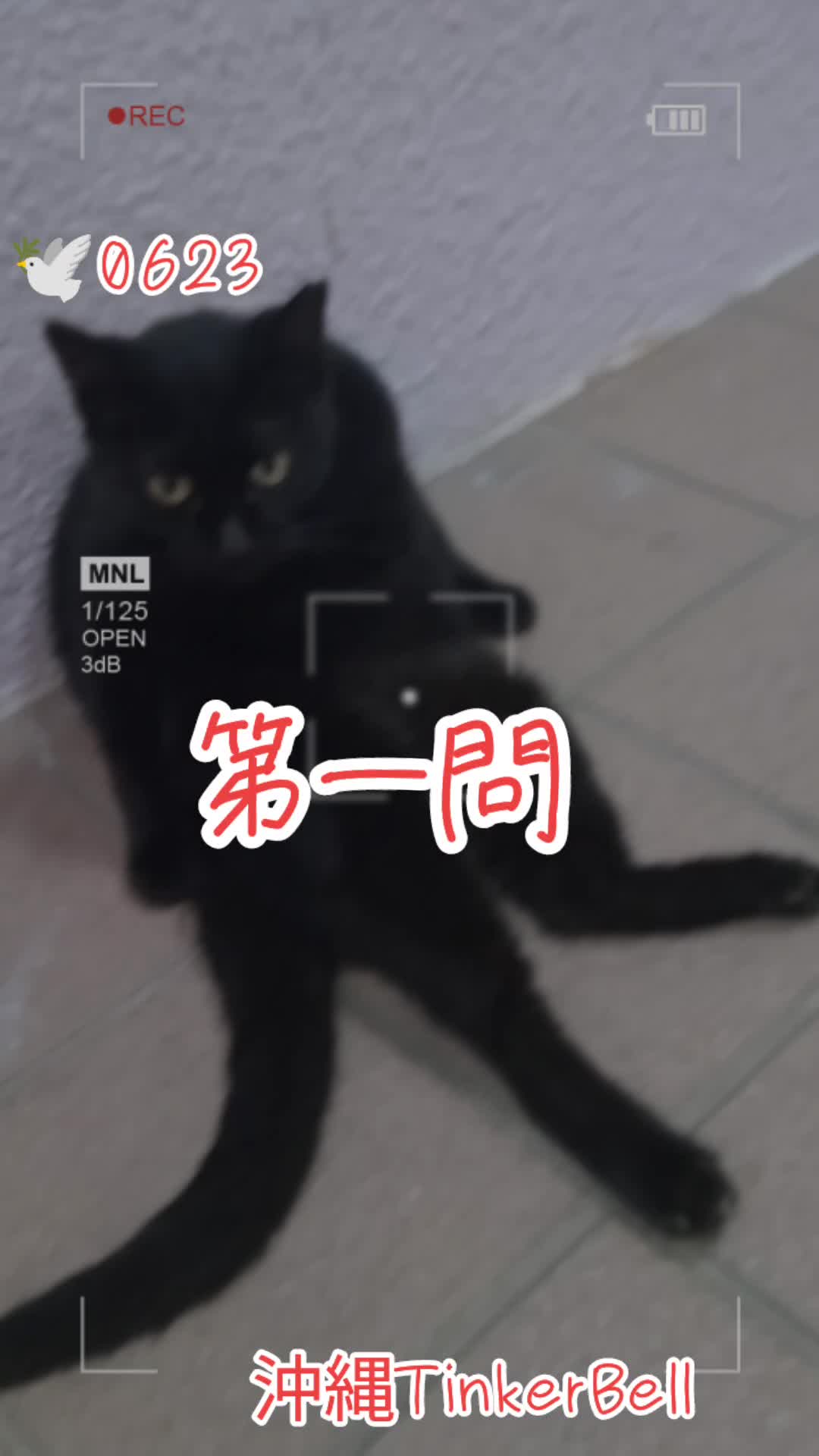 @沖縄セクキャバティンカーベル