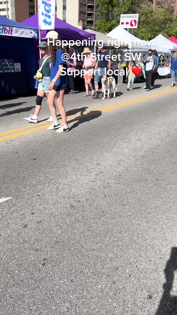 @SummerJassShop