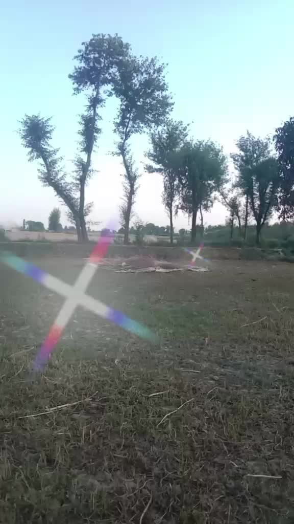 @user6667266379313