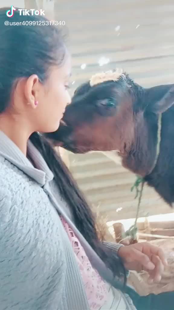 @😍Chinnu Gowda 😍