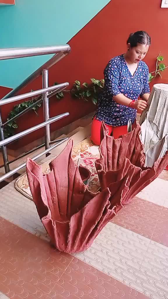 @jenisha shrestha 068
