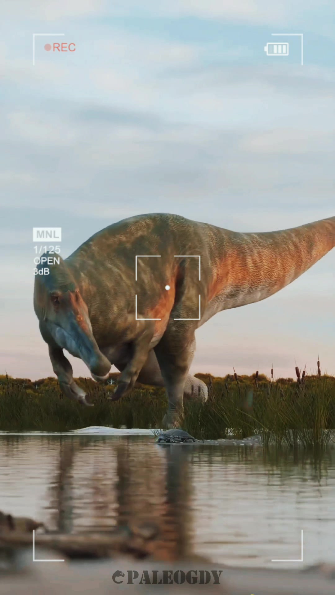 @UNIVERSODINO