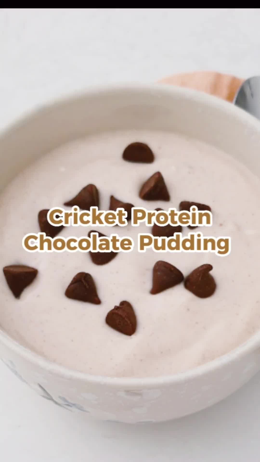 @proteincricket