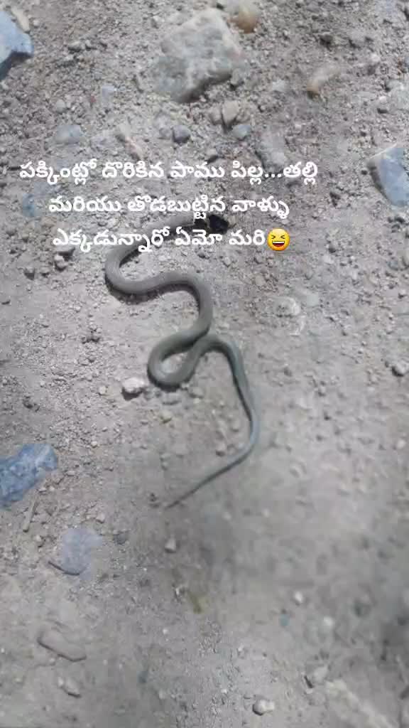 @Pavan Kumar Nagineni