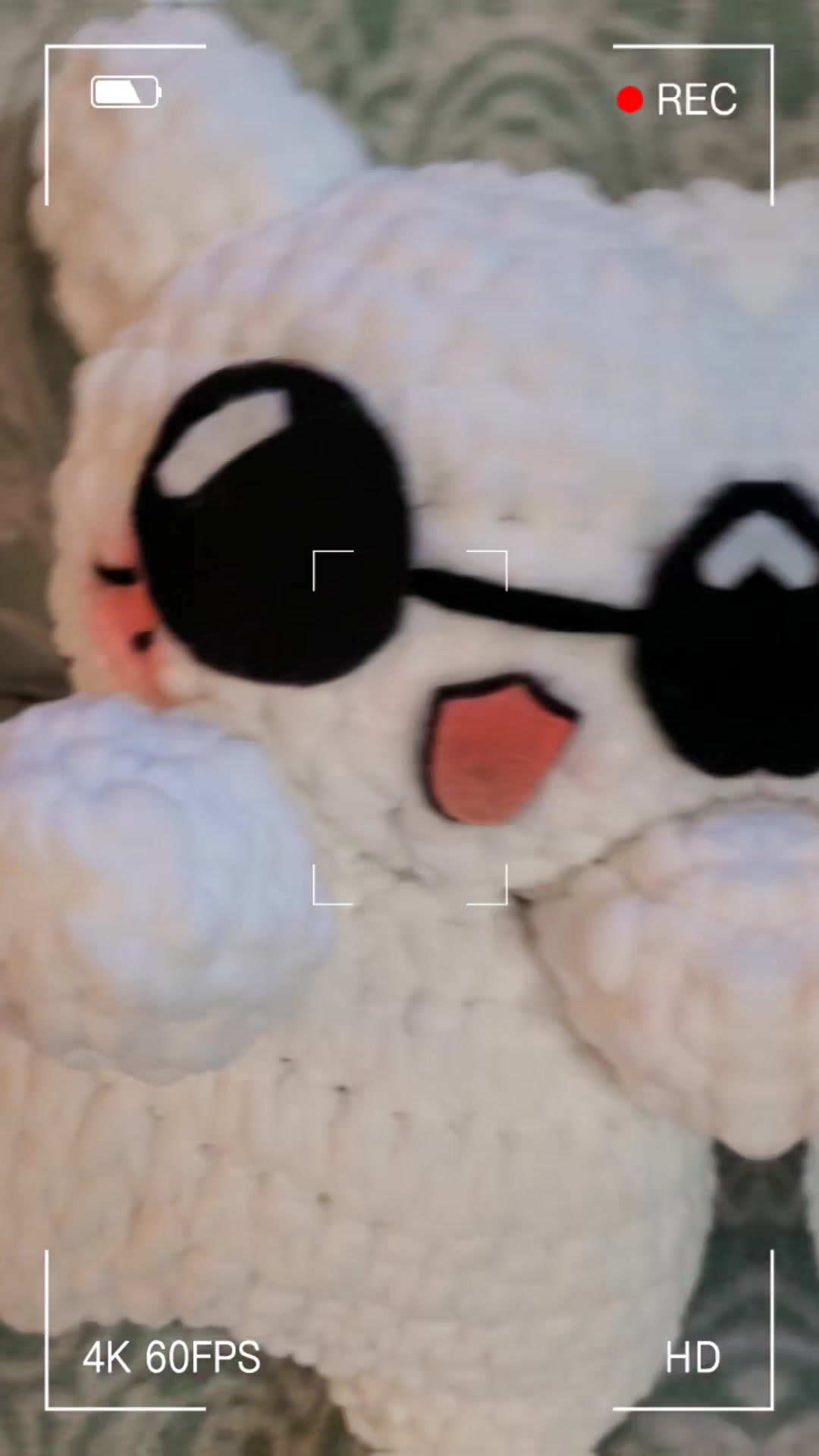 @sweet_maple_panda