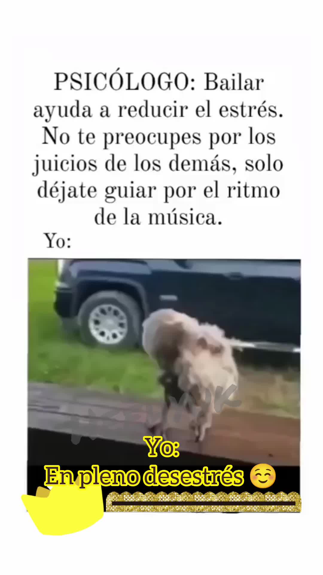 @kim Jim