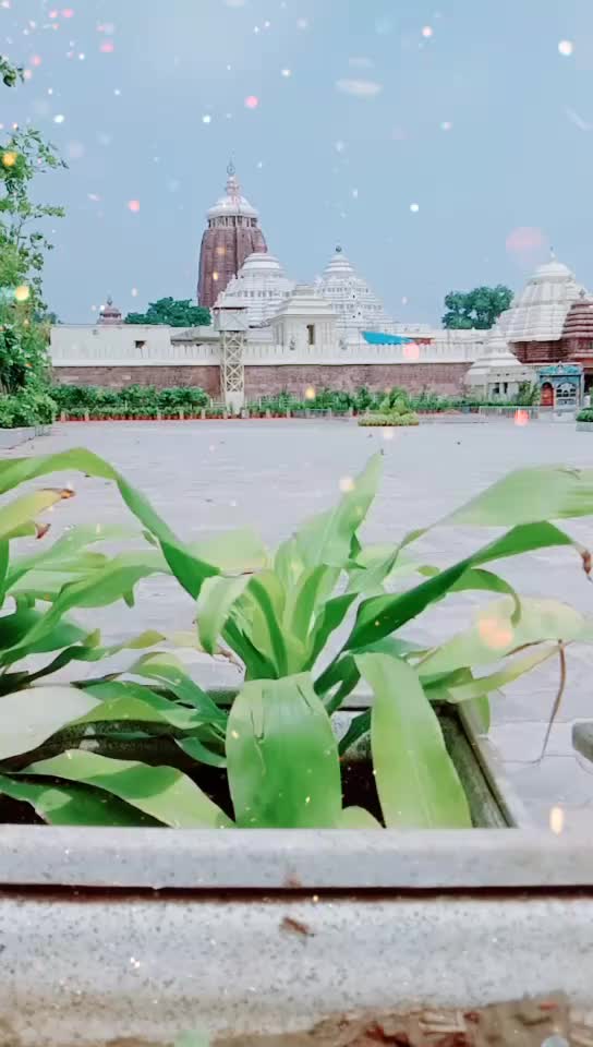 @rajesh patra