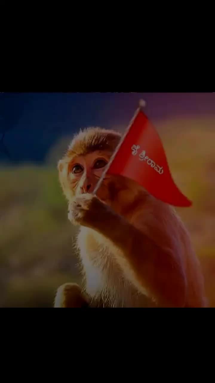 @Pavan Kumar