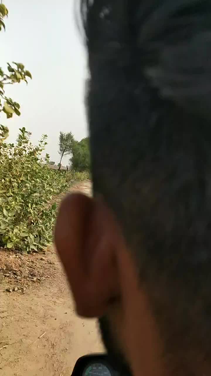 @goradhillon8031