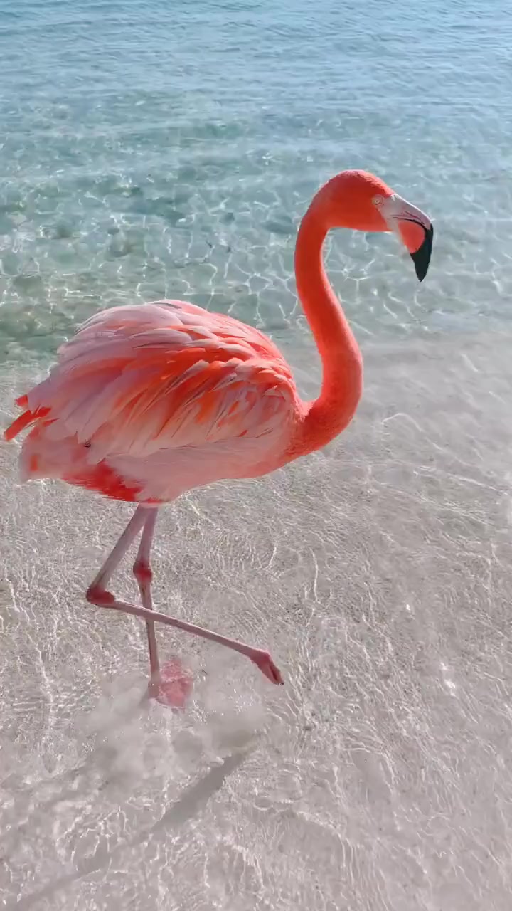 @user17565685837