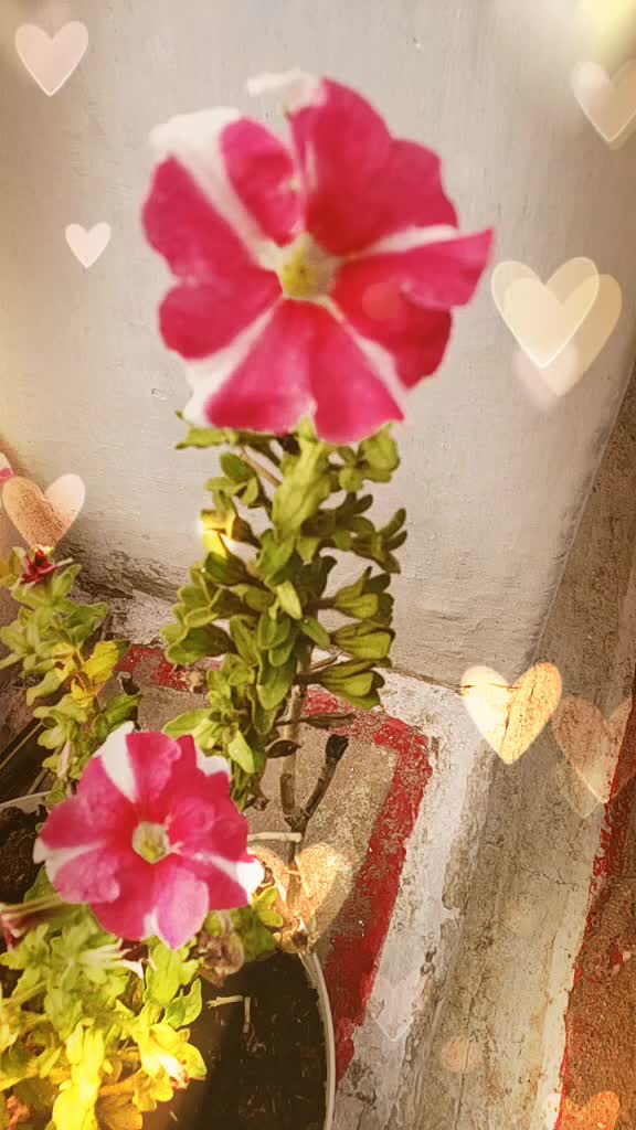 @pratiksha dhakad