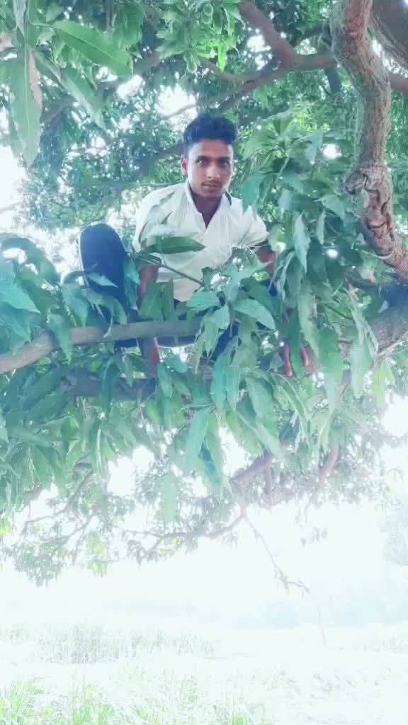 @Dev Chauhan