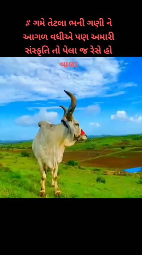 @Dabhi Shaheb