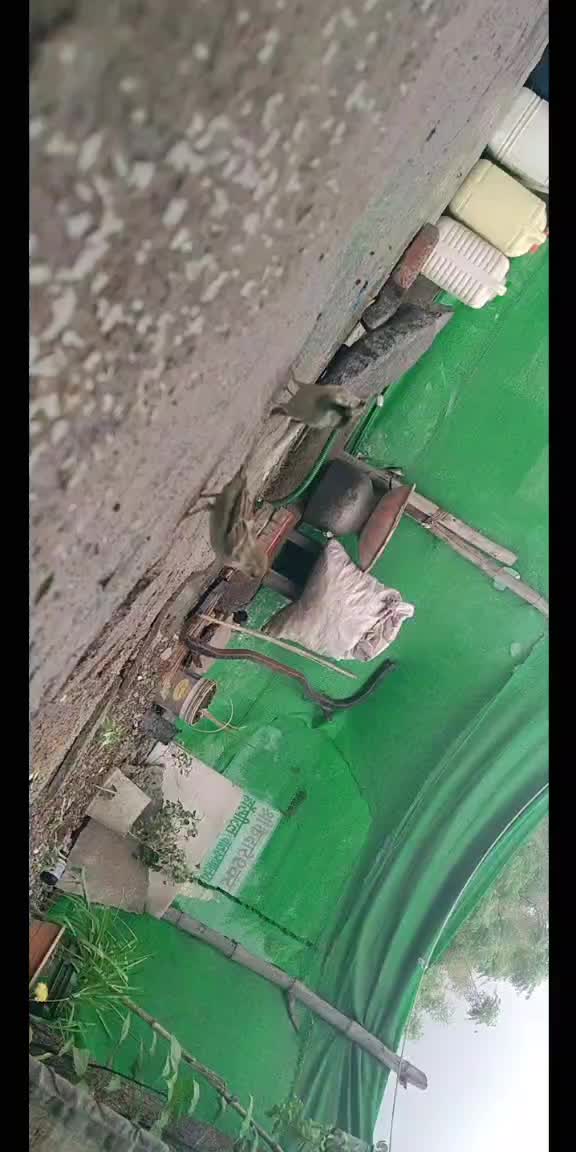 @🔥 DIPAK🔥KING🔥