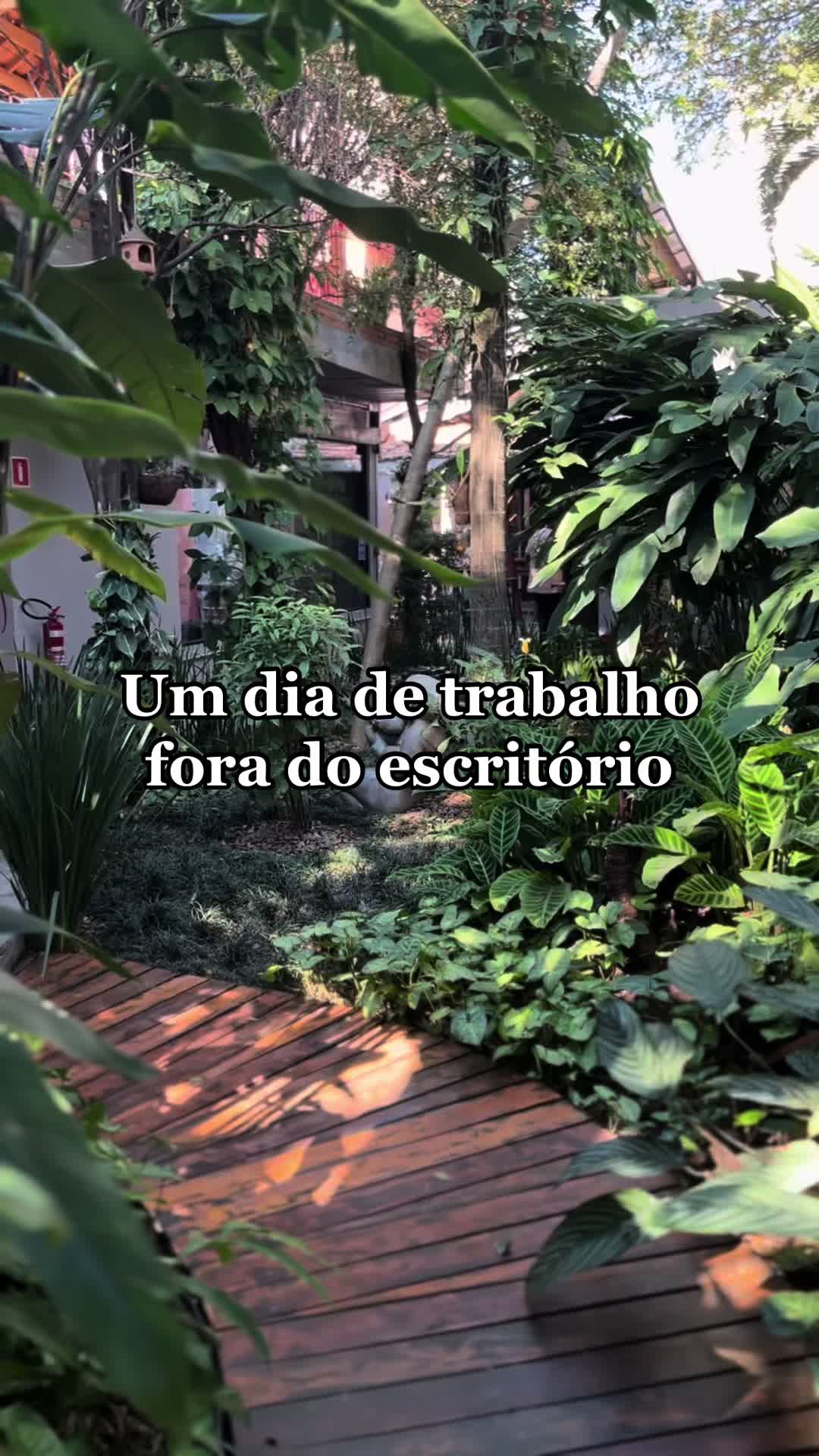 @dividido por dois